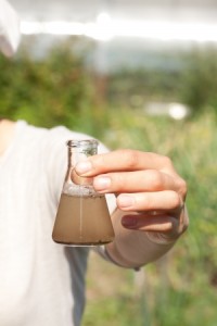 21150324 - researcher testing the water quality